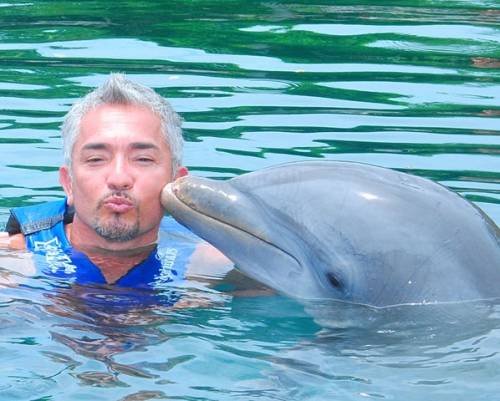 Цезарь в Канкуне с Дельфинами