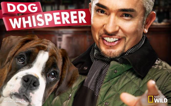 Dog Whisperer 2012